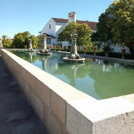 Apartamento Visit Castelo Branco (Centro)