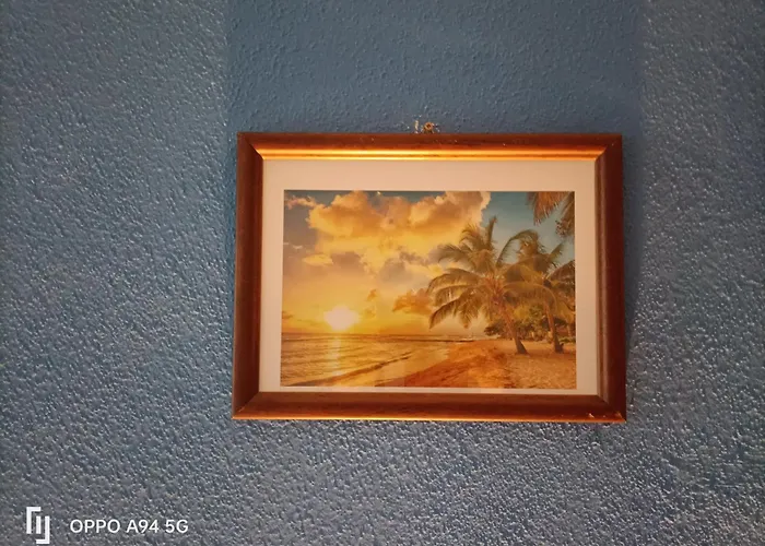 Apartamento Visit Castelo Branco (Centro)